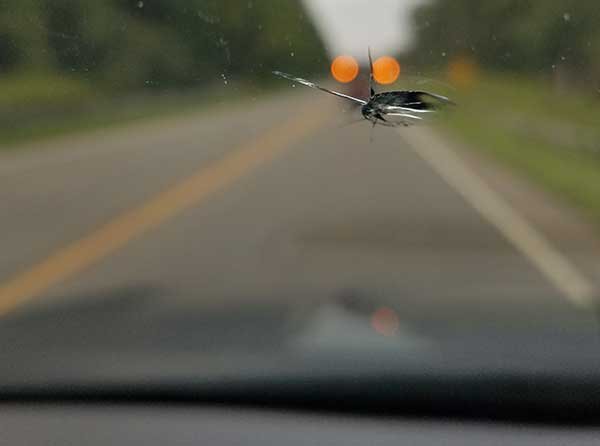 denver windshield crack repair